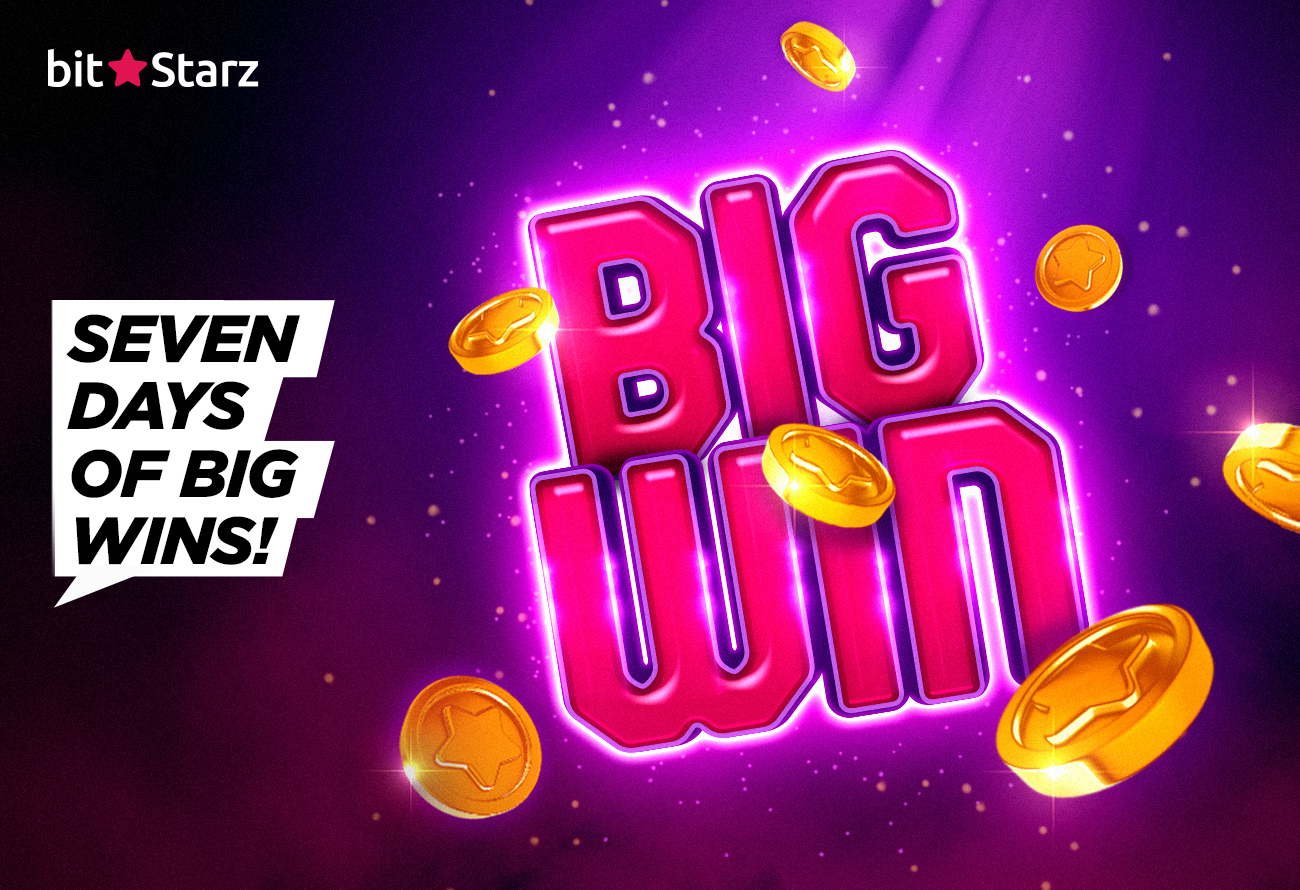 Bigwin Gambling Establishment Review